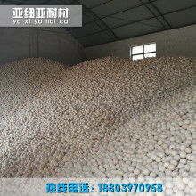 宜興市川埠特種耐火材料廠 耐火材料與陶瓷零部件的專業(yè)供應(yīng)商